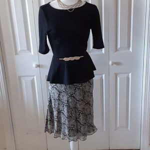 ANN TAYLOR Silk Skirt